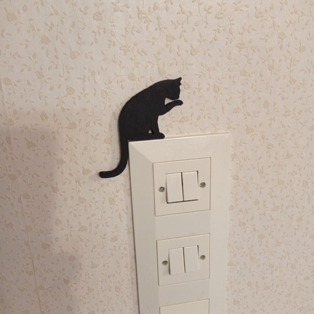 Кошка на выключатель — фото 1