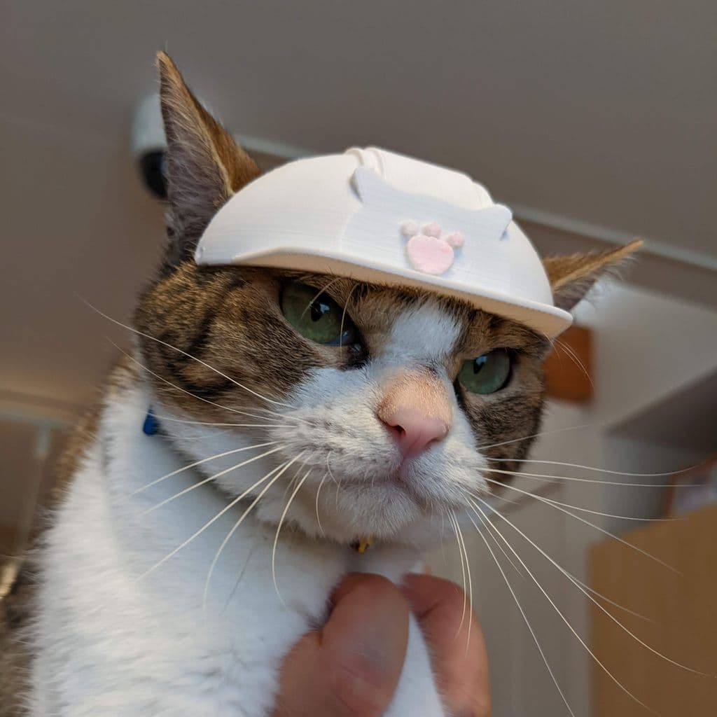 Каска для кота — фото 1