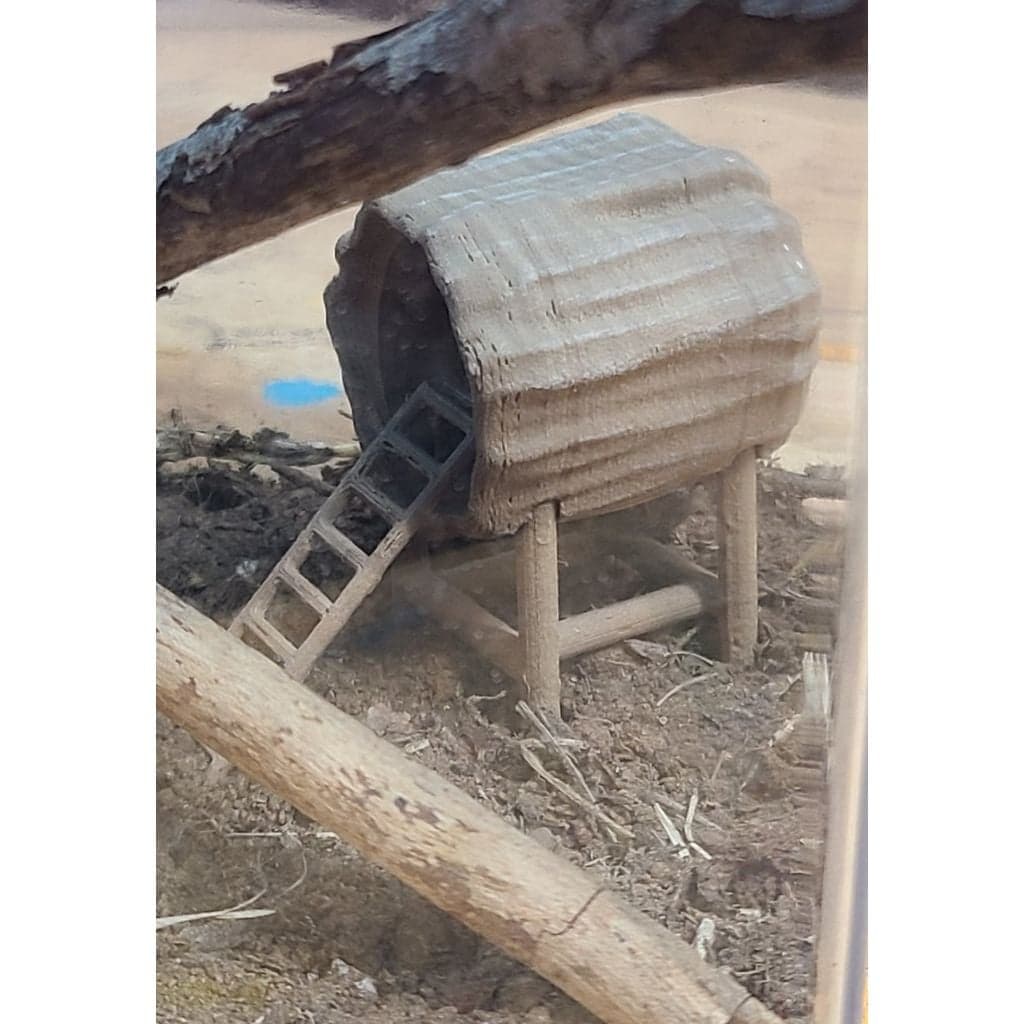 Укрытие для паука-скакуна — фото 2