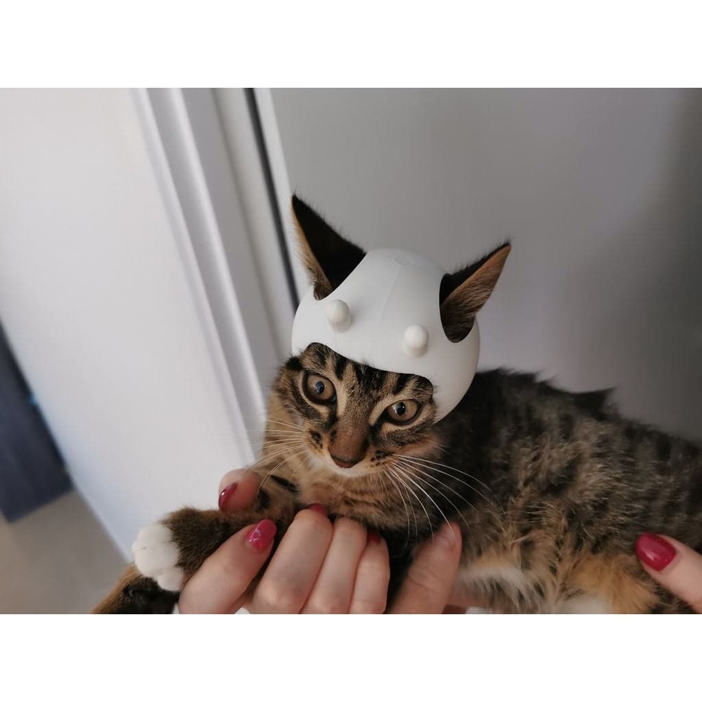 Космический шлем для кота — фото 1